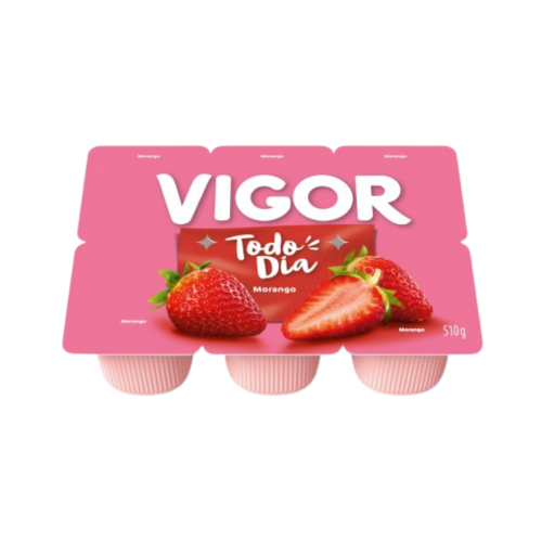 Vigor iogurte todo dia morango 510g